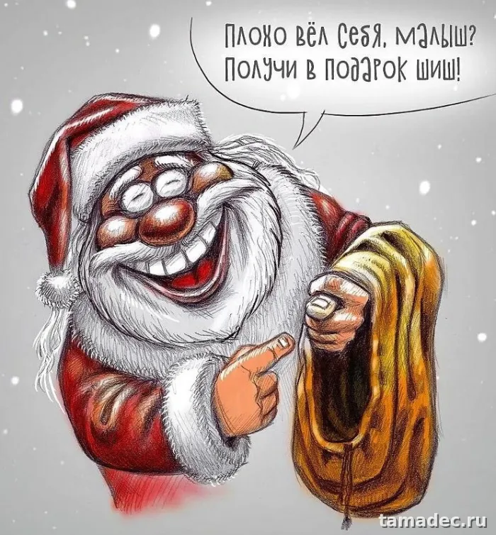 Прикольные картинки на Новый год. Картинки про Новый год с надписями