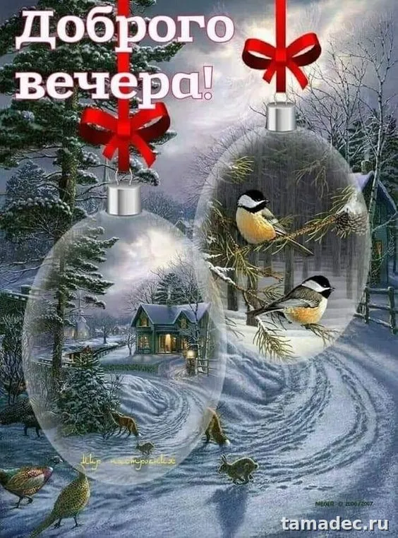 Красивые картинки Добрый вечер. Красивые зимние картинки Добрый вечер