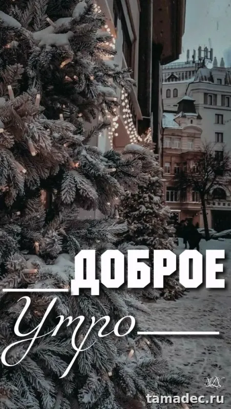 Красивые новогодние картинки Доброе утро. Доброе утро - картинки новогодние с пожеланиями