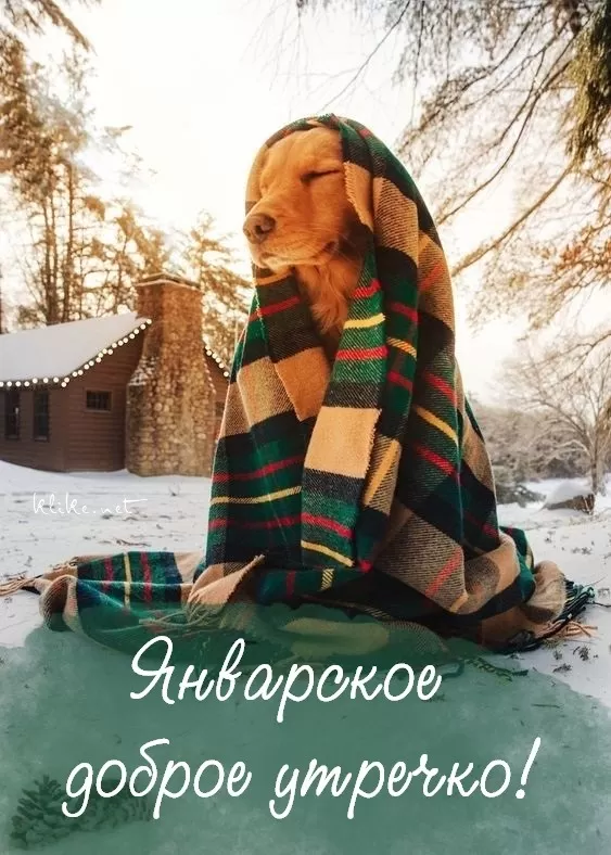Картинки Доброе утро января. Прикольные картинки "Доброго утра января"