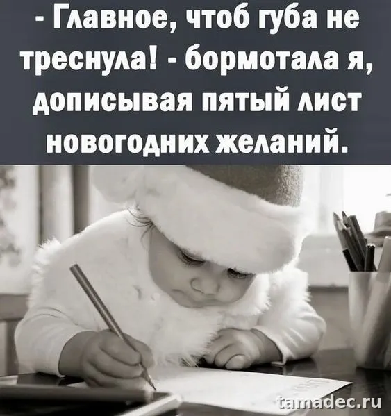 Прикольные картинки на Новый год. Приколы про Новый год в картинках