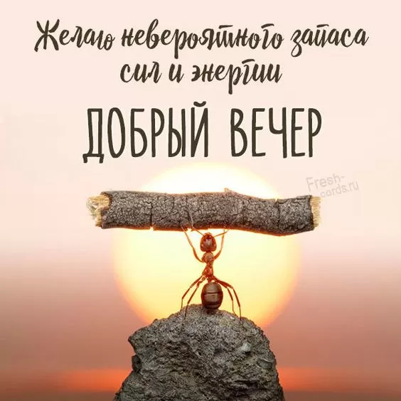 Красивые картинки Добрый вечер. Добрый вечер - прикольные картинки&nbsp;