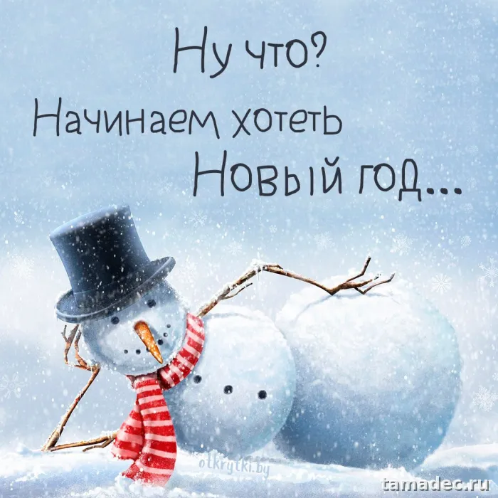 Прикольные картинки на Новый год