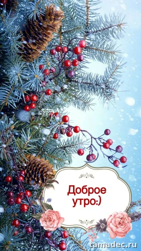 Красивые новогодние картинки Доброе утро. Новогодние картинки "Доброе утро" красивые и прикольные
