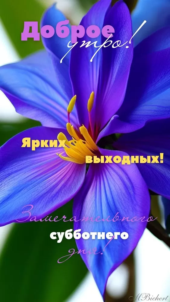 Картинки "Хороших и отличных выходных" . Красивые картинки "Хороших выходных"