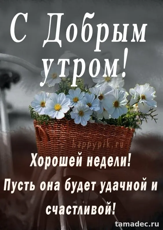 Картинки с пожеланиями хорошей недели. Красивые картинки "Хорошей недели"