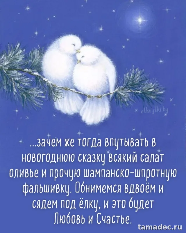 Прикольные картинки на Новый год. Приколы про Новый год в картинках
