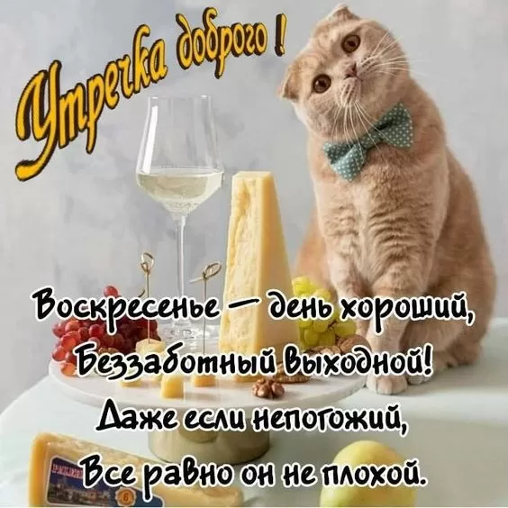 Картинки Доброе утро воскресенья. Картинки с пожеланиями "Доброго воскресного утра"