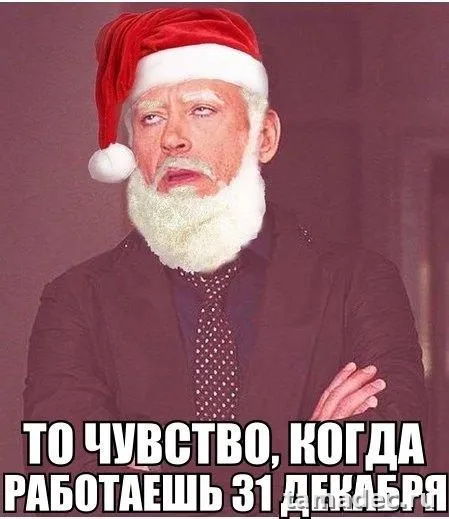Прикольные картинки на Новый год. Картинки про Новый год с надписями