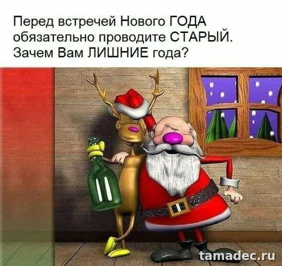 Прикольные картинки на Новый год. Новогодние прикольные картинки