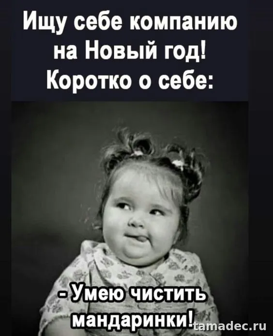 Прикольные картинки на Новый год. Новогодние прикольные картинки