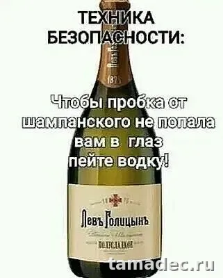 Прикольные картинки на Новый год. Картинки про Новый год с надписями