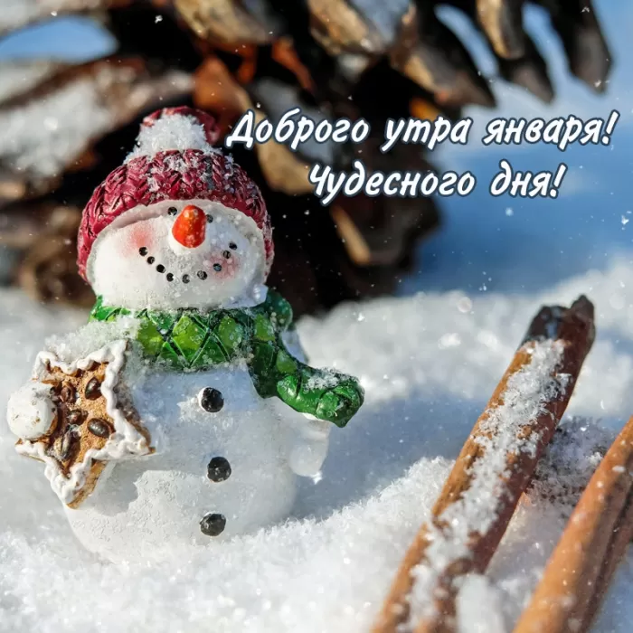 Картинки Доброе утро января. Прикольные картинки "Доброго утра января"
