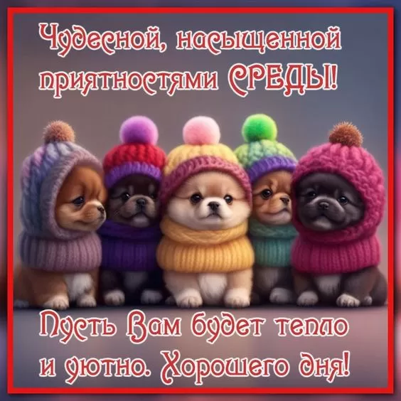 Картинки Доброе утро среды красивые и прикольные. Картинки "Доброе утро среды" красивые и прикольные