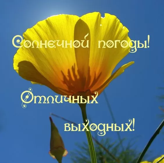 Картинки "Хороших и отличных выходных" . Отличных выходных - картинки прикольные