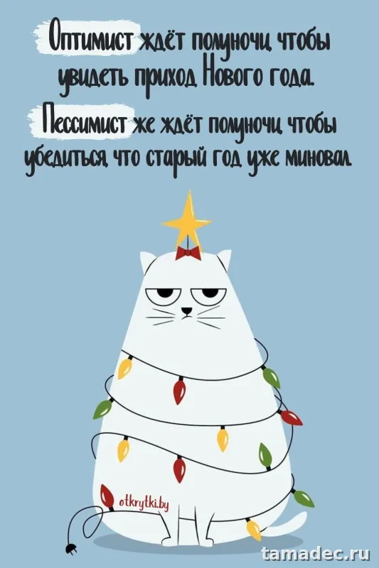 Прикольные картинки на Новый год. Приколы про Новый год в картинках
