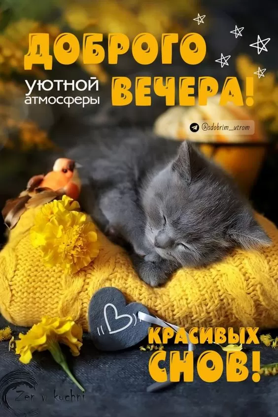 Красивые картинки Добрый вечер. Красивые картинки Добрый вечер