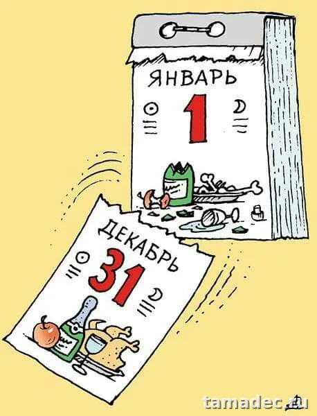 Прикольные картинки на Новый год. Приколы про Новый год в картинках