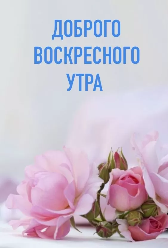 Картинки Доброе утро воскресенья. С добрым утром воскресенья картинки