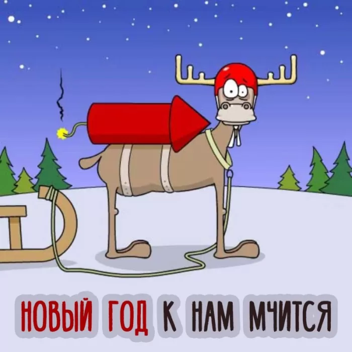 Прикольные картинки про Новый год. Прикольные картинки про Новый год с надписями&nbsp;