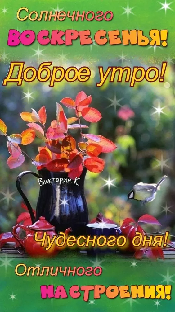 Картинки Доброе утро воскресенья. С добрым утром воскресенья картинки