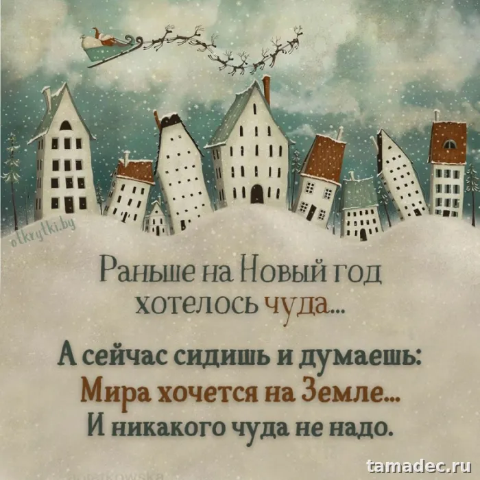 Прикольные картинки на Новый год. Новогодние прикольные картинки