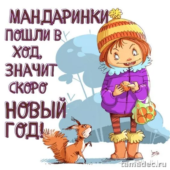 Прикольные картинки на Новый год. Прикольные картинки про Новый год