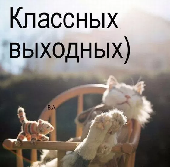 Картинки "Хороших и отличных выходных" . Красивые картинки "Хороших выходных"