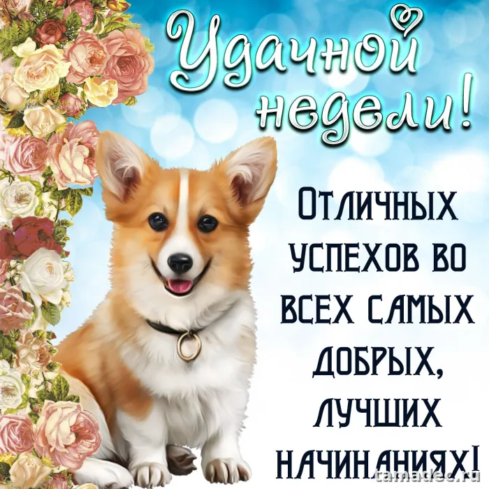Картинки с пожеланиями хорошей недели. Прикольные картинки "Хорошей и легкой недели"