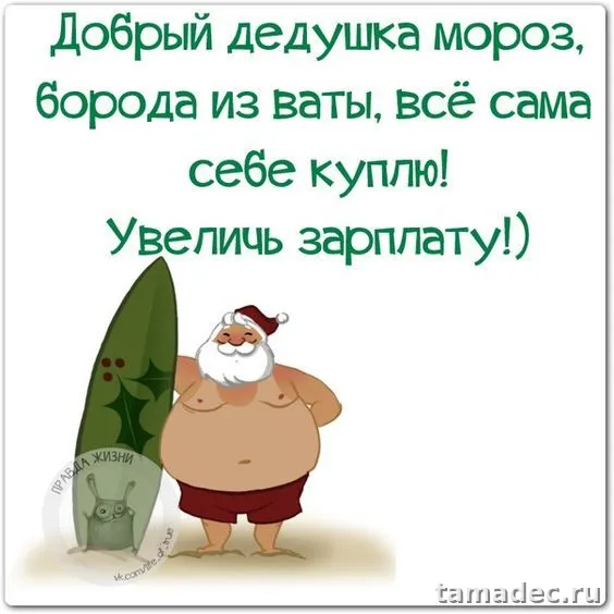 Прикольные картинки на Новый год. Приколы про Новый год в картинках