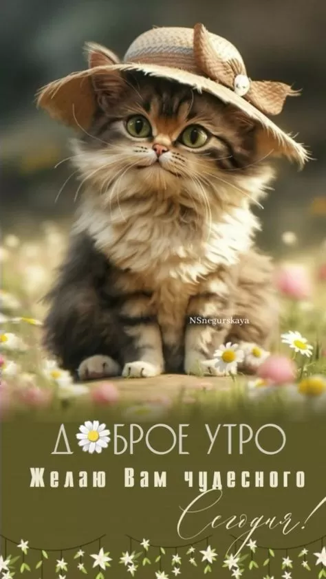 Картинки котиков с добрым утром. Прикольные картинки "Доброе утро" с котиками