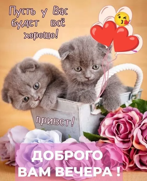 Красивые картинки Добрый вечер. Добрый вечер - прикольные картинки&nbsp;