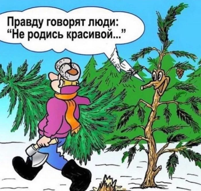 Прикольные картинки про Новый год. Прикольные картинки про Новый год с надписями&nbsp;
