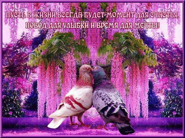Картинки Мира и Добра с пожеланиями. 