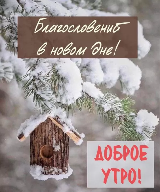 Картинки Доброго снежного утра. Красивые картинки Доброе снежное утро