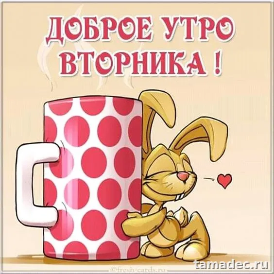 Картинки Доброго утра вторника. С добрым утром вторника - картинки с пожеланиями