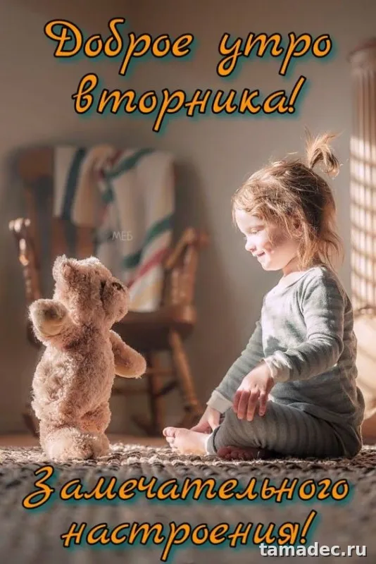 Картинки Доброго утра вторника. Картинки &nbsp;Доброго утра вторника красивые и прикольные