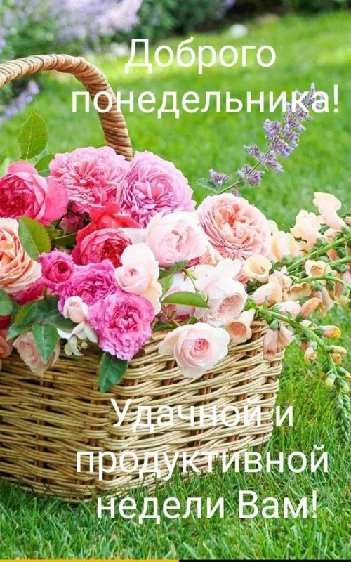 Картинки с понедельником. Красивые картинки С понедельником!