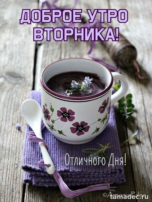 Картинки Доброго утра вторника. Прикольные картинки Доброго утра вторника