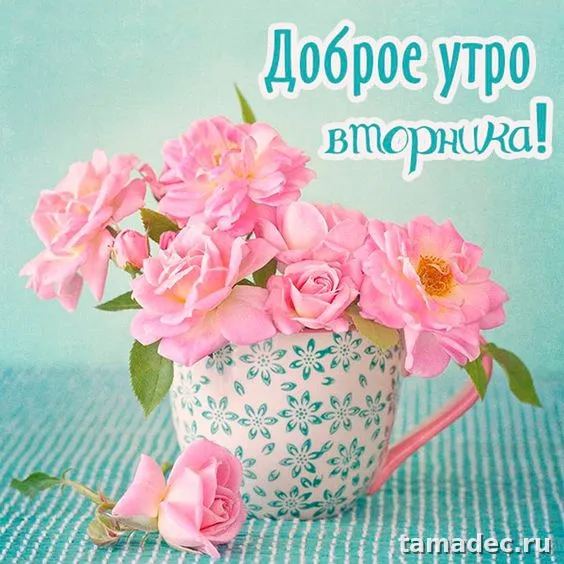 Картинки Доброго утра вторника. Прикольные картинки Доброго утра вторника