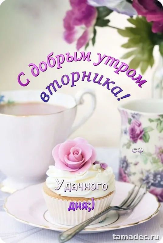 Картинки Доброго утра вторника. Прикольные картинки Доброго утра вторника