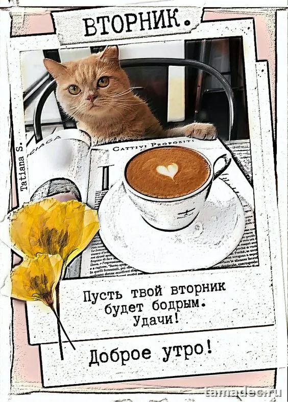 Картинки Доброго утра вторника. Прикольные картинки Доброго утра вторника