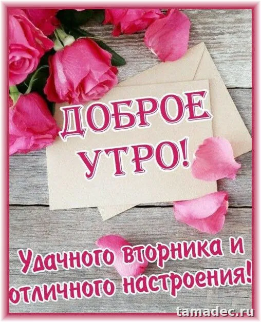 Картинки Доброго утра вторника. Картинки &nbsp;Доброго утра вторника красивые и прикольные
