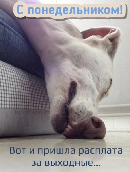 Картинки с понедельником. Красивые картинки С понедельником!