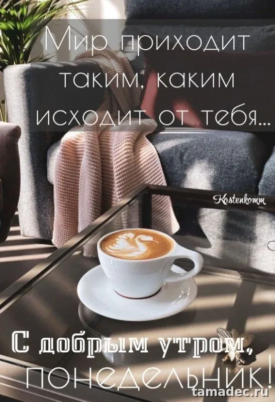 Картинки доброе утро понедельника. Картинки Доброе утро понедельника