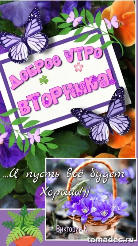 Картинки Доброго утра вторника. Прикольные картинки Доброго утра вторника