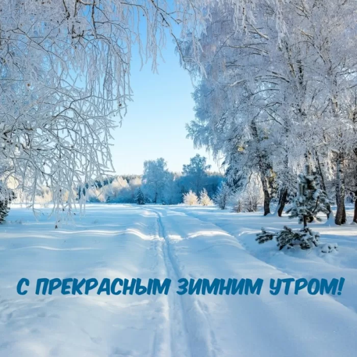 Картинки Доброго снежного утра. Картинки с Добрым снежным утром