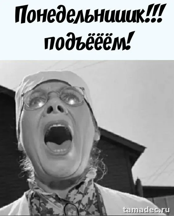 Картинки доброе утро понедельника. Красивые и прикольные картинки с Добрым утром понедельника