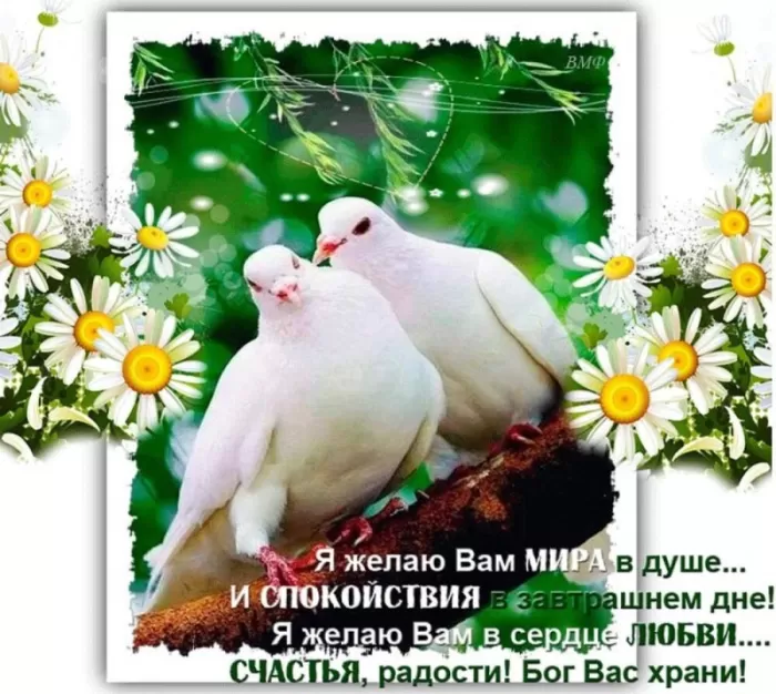 Картинки Мира и Добра с пожеланиями. Мира и добра - картинки с пожеланиями