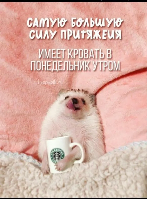 Картинки с понедельником. Доброе утро понедельника - картинки с пожеланиями